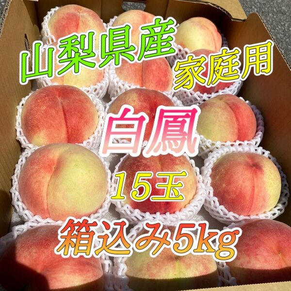 山梨県産 訳あり 家庭用 桃 白鳳 15玉 箱込み5kg ①