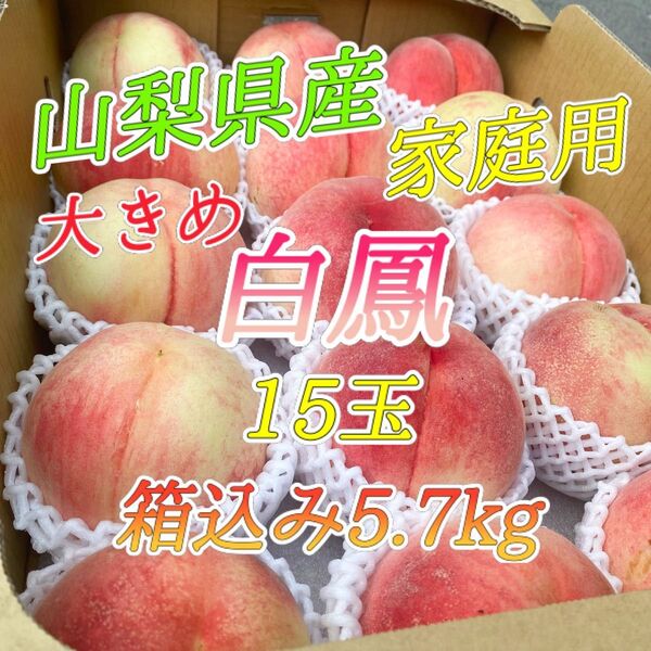山梨県産 訳あり 家庭用 桃 白鳳 15玉 箱込み5.7kg ⑥