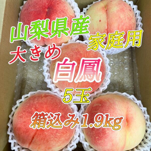 山梨県産 訳あり 家庭用 桃 白鳳 5玉 箱込み1.9kg ⑦