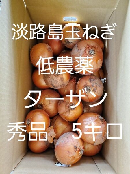 淡路島 玉ねぎ ターザン 秀品 5キロ Lサイズ 農家直送