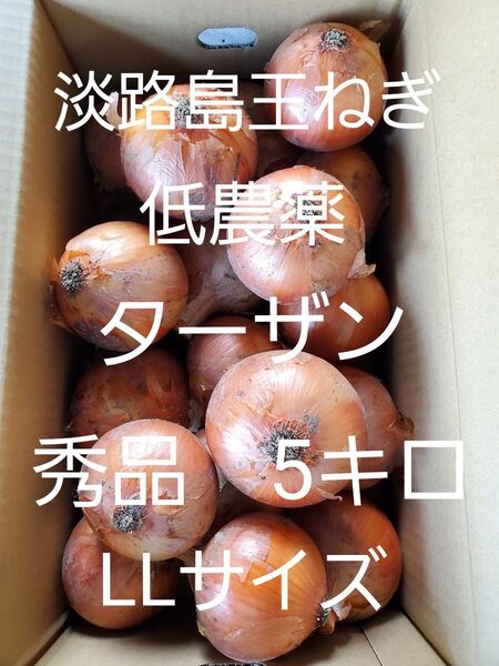 淡路島 玉ねぎ ターザン 秀品 5キロ LLサイズ 農家直送