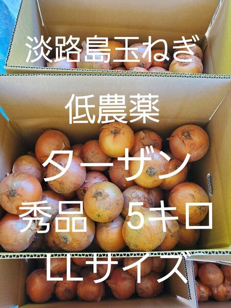 淡路島 玉ねぎ ターザン 秀品 5キロ LLサイズ 農家直送