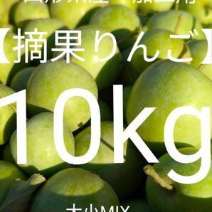 山形県産【摘果りんご】加工用10kg 大小MIX!