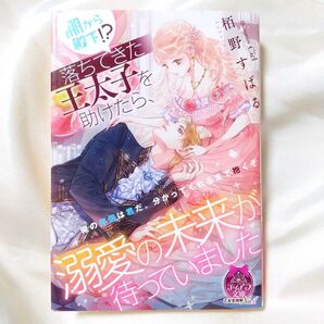 棚から殿下!?落ちてきた王太子を助けたら、溺愛の未来が待っていました ティアラ文庫 栢野すばる イラスト Ciel TL