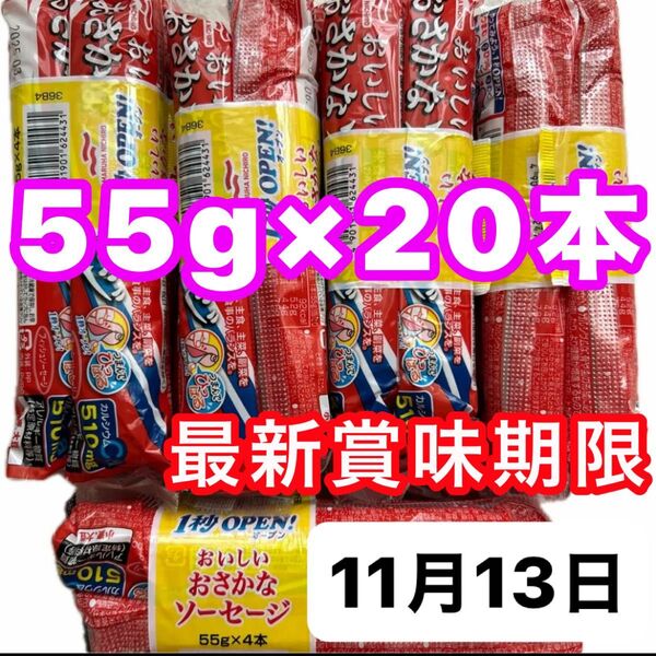 マルハニチロ おさかなソーセージ 魚肉ソーセージ 栄養機能食品 カルシウム 最新賞味期限11.13 クーポン消化 55g×20本