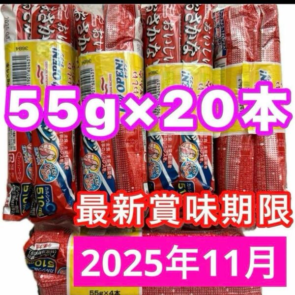マルハニチロ おさかなソーセージ 魚肉ソーセージ 55g×20本 栄養機能食品 カルシウム 最新賞味期限 200円引きクーポン消化