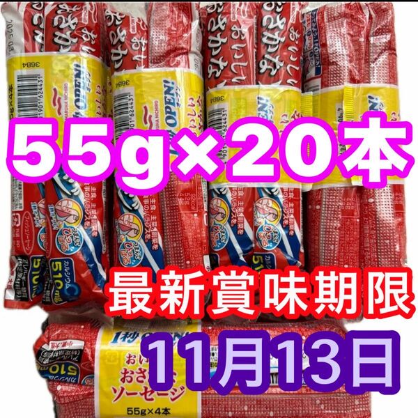 マルハニチロ おさかなソーセージ 魚肉ソーセージ 55g×20本 栄養機能食品 カルシウム 最新賞味期限 クーポン消化 空腹時便利