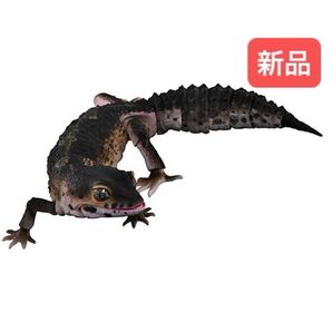 レオパードゲッコー(ブラックナイト) いきもの大図鑑アドバンス バンダイ