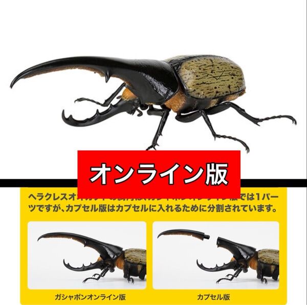 〈オンライン版〉 ヘラクレス・ヘラクレス改(黄褐色) いきもの大図鑑かぶとむし07 バンダイ