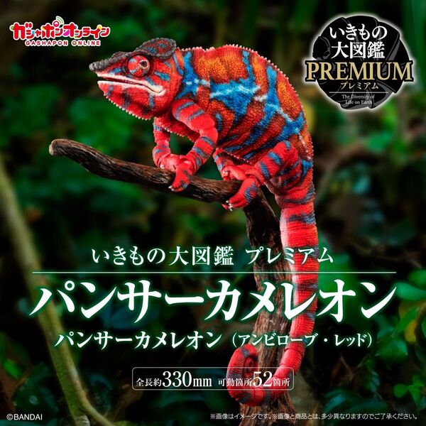 いきもの大図鑑プレミアム パンサーカメレオン(アンビローブ・レッド) バンダイ