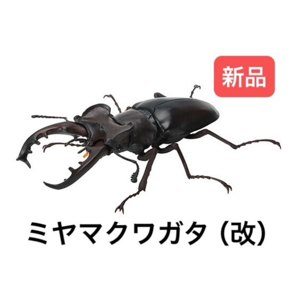 ミヤマクワガタ(改) いきもの大図鑑くわがた07 バンダイ