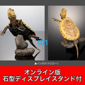 〈オンライン版〉 イシガメ(イエロー) いきもの大図鑑アドバンス カメ02 バンダイ