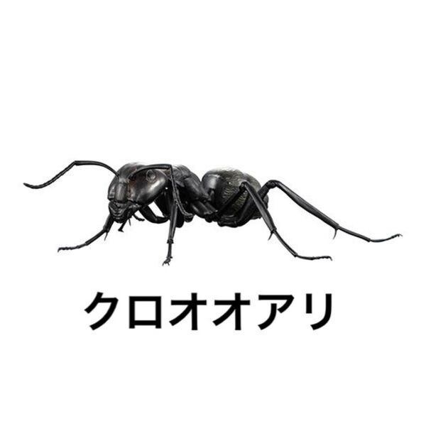 クロオオアリ いきもの大図鑑あり バンダイ