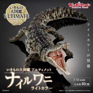 ナイルワニ(ライトカラー) いきもの大図鑑アルティメット バンダイ