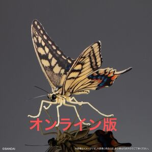 キアゲハ いきもの大図鑑アドバンス アゲハチョウ バンダイ