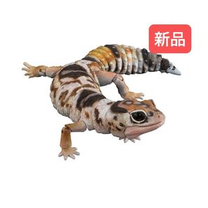 ニシアフリカトカゲモドキ(ホワイトアウト) いきもの大図鑑アドバンス SELECTED EDITION バンダイ