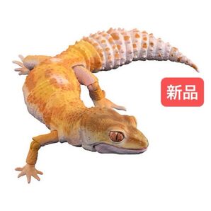 レオパードゲッコー(トレンパーアルビノ) いきもの大図鑑アドバンス バンダイ