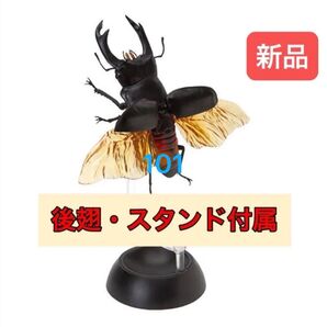オオクワガタ いきもの大図鑑くわがた03 バンダイ