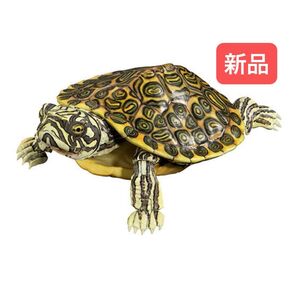 リオグランデクーター いきもの大図鑑アドバンス カメ02 バンダイ
