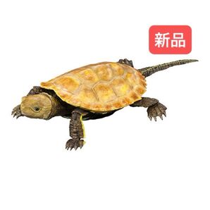 イシガメ(イエロー) いきもの大図鑑アドバンス カメ02 バンダイ