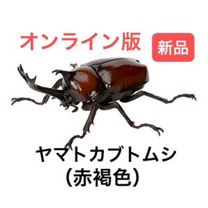 〈オンライン版〉 ヤマトカブトムシ (赤褐色)いきもの大図鑑かぶとむし05 バンダイ