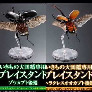 〈2種セット〉 ディスプレイスタンドセット いきもの大図鑑 ヘラクレスオオカブト ゾウカブト バンダイ