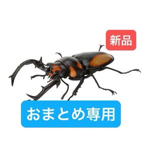おまとめ専用 スペキオススシカクワガタ他2体セット いきもの大図鑑くわがた08 バンダイ