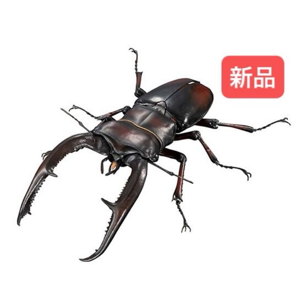 マンディブラリスフタマタクワガタ(赤褐色) いきもの大図鑑アドバンス バンダイ
