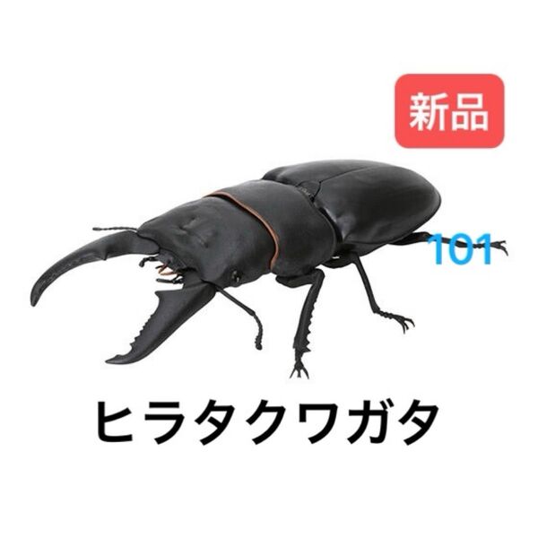 ヒラタクワガタ いきもの大図鑑 くわがた06 バンダイ