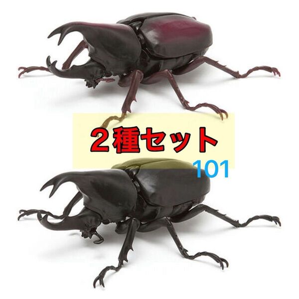 2種セット ヒメカブト (赤褐色、ブラック) いきもの大図鑑 かぶとむし03 バンダイ