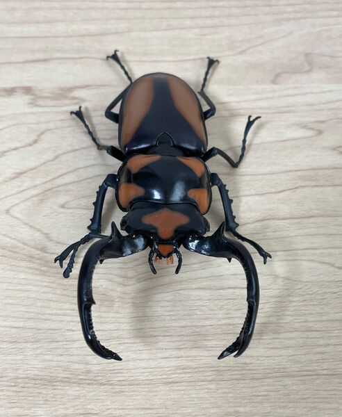スペキオススシカクワガタ いきもの大図鑑くわがた08 バンダイ