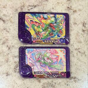 ポケモンフレンダ ベストタッグ1弾 スーパートレジャー カミツオロチ サーナイト テラスタル