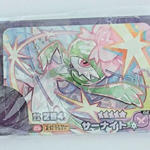 ポケモンフレンダベストタッグサーナイト