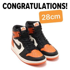 シャタバ 28cm Nike AJ1 Shattered Backboard