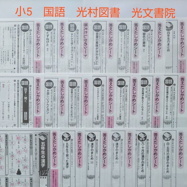 小5 国語 カラーテスト答え 光村図書