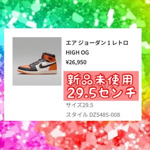 29.5センチ NIKE Air Jordan 1 Shattered Backboard エアジョーダン ジョーダン シャタバ
