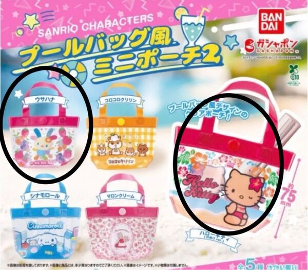 サンリオキャラクターズ プールバッグ風 ミニポーチ 2 ハローキティ 日焼けキティ キティちゃん ウサハナ