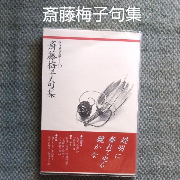 斎藤梅子句集 現代俳句文庫20