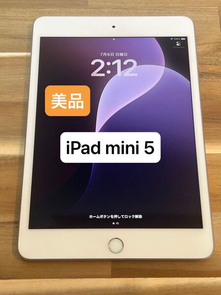 【美品】【価格相談可】③Apple iPad Mini 第5世代 64GB シルバー Wi-Fiモデル【動作確認済】