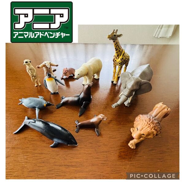 タカラトミー アニア アニマルアドベンチャー 動物 フィギュア