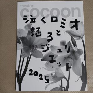 【新品】泣くロミオと怒るジュリエット2025 theatre cocoon パンフレット