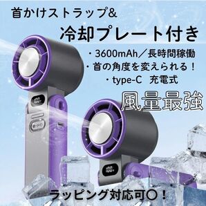 【風量トップクラス!!】ハンディファン 冷却プレート付き 12時間使用可能 typeーC 充電式 扇風機 持ち運び 手持ち 首かけ