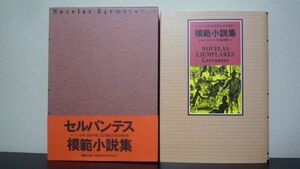 模範小説集　ミゲル・デ セルバンテス　スペイン中世・黄金世紀文学選集