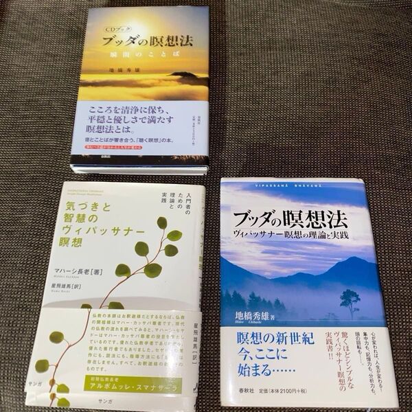 ブッダの瞑想法 ヴィパッサナー瞑想の理論と実践 地橋秀雄/著ほか CDはありません(内容は同じです)