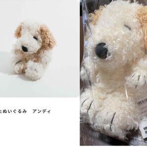 【スヌーピーミュージアム】【sold out品】ゆるくたぬいぐるみ アンディ