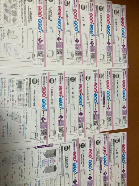 小学5年算数 カラーテスト