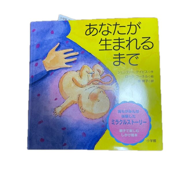 あなたが生まれるまで (親子で楽しむ翻訳しかけ絵本) ジェニファー・デイビス/作 ローラ・コーネル/絵 槙朝子/訳