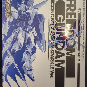 METAL BUILD フリーダムガンダム CONCEPT2 SNOW SPARKLE Ver. ガンダムseed