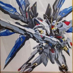 METAL BUILD ストライクフリーダムガンダム ガンダムseed destiny
