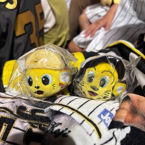 阪神タイガース 入場者特典 Family with Tigers Day ぬいぐるみパッチンバンド